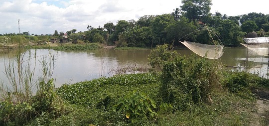 image-here